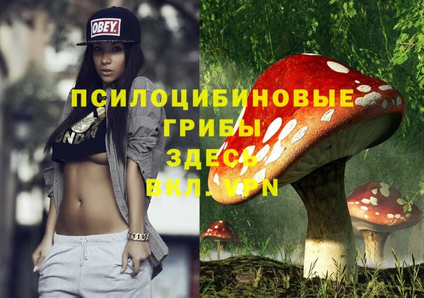 молекула духа Мегион