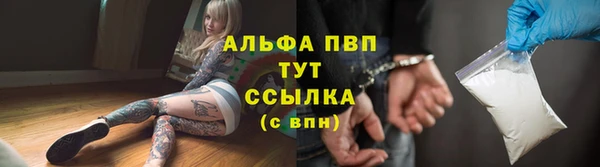 молекула духа Мегион