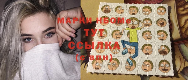молекула духа Мегион