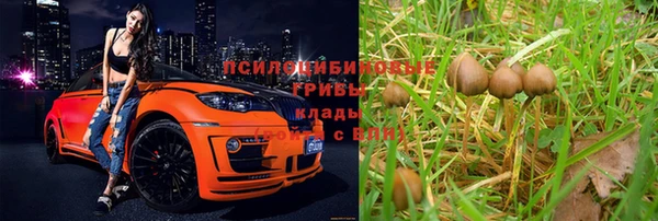spice Медвежьегорск