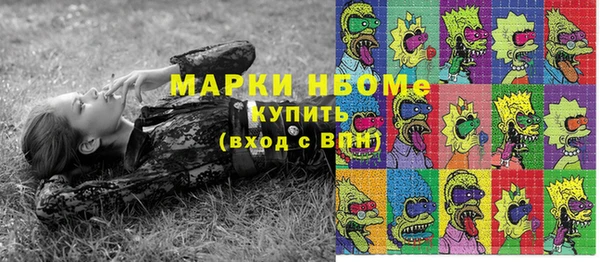 молекула духа Мегион