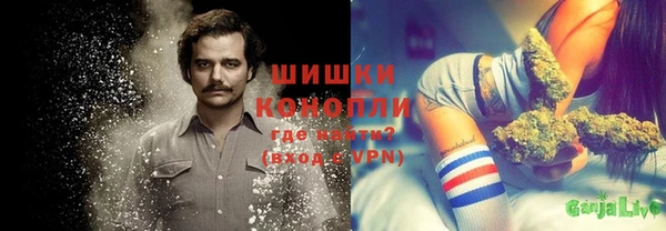 прущие крисы Магас