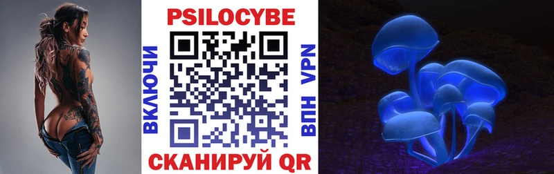 Галлюциногенные грибы GOLDEN TEACHER  Бийск 