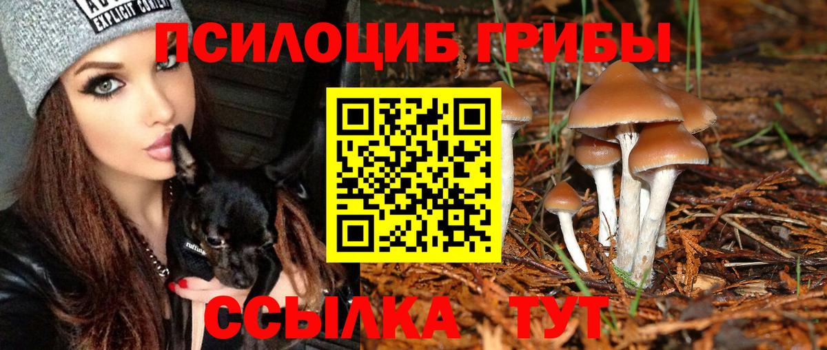 Галлюциногенные грибы Cubensis Бийск